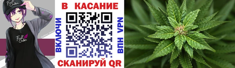 Купить наркотик Лосино-Петровский МЕГА сайт Мефедрон Конопля Псилоцибиновые грибы