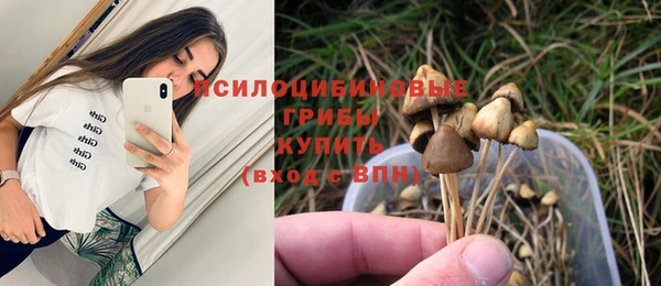 mix Надым
