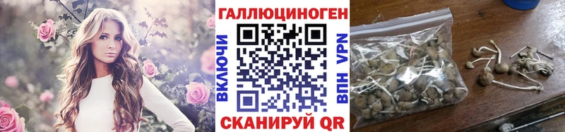 mega как зайти  купить наркотики цена  Лосино-Петровский  Псилоцибиновые грибы прущие грибы 