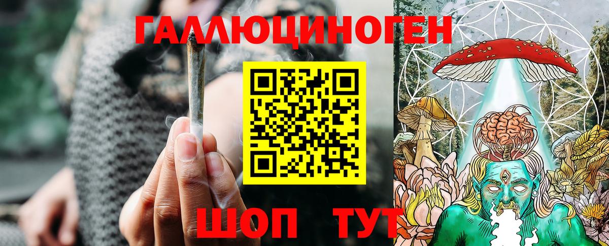 Галлюциногенные грибы мухоморы Лосино-Петровский